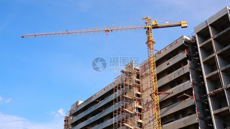 小型园林绿化工程价格解析：成本构成与影响因素**
